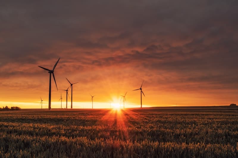 Sustainability